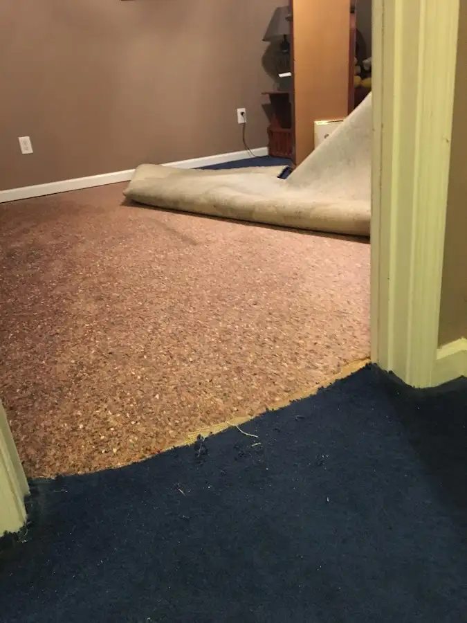 Carpet pad removal revealing water damage during Water Mitigation Services in Holyoke