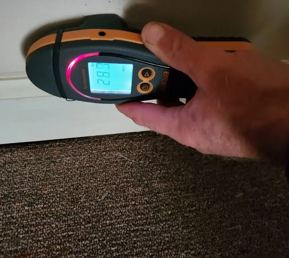 Moisture detection at baseboard during Sewage Cleanup & Sanitation in Holyoke